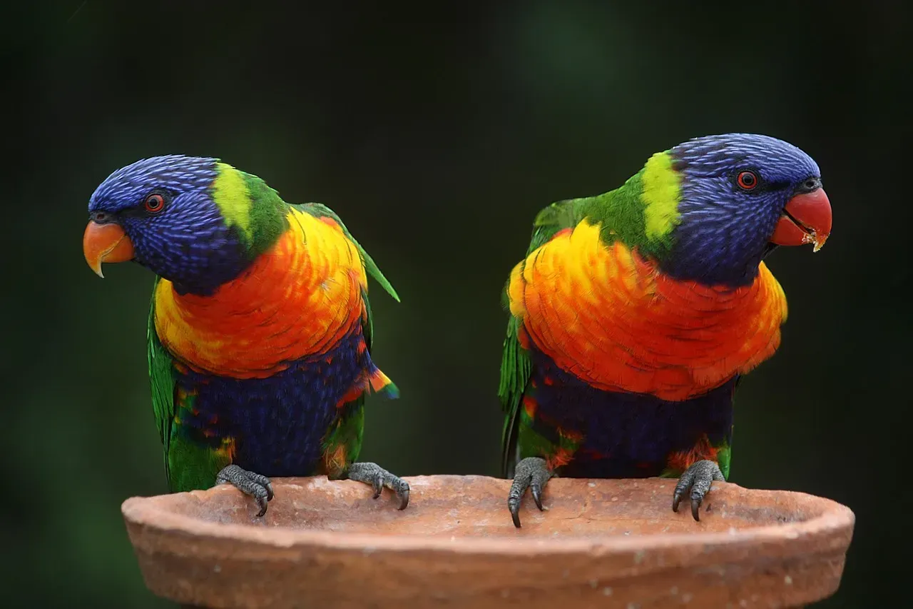 Regenbogenhochzeiten – Liebe kennt keine Grenzen!